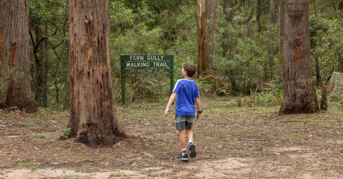 Tallaganda National Park