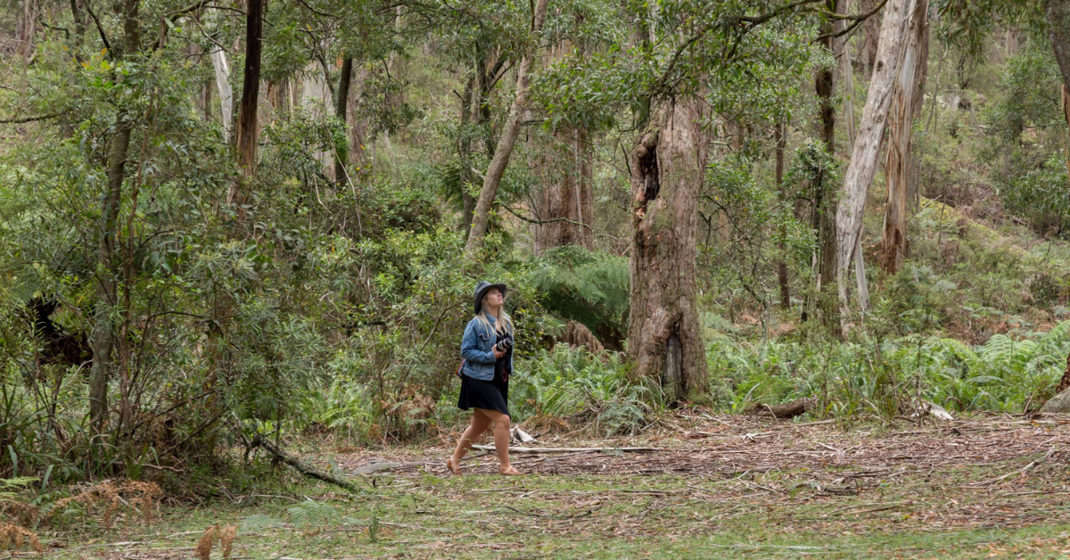 Tallaganda National Park