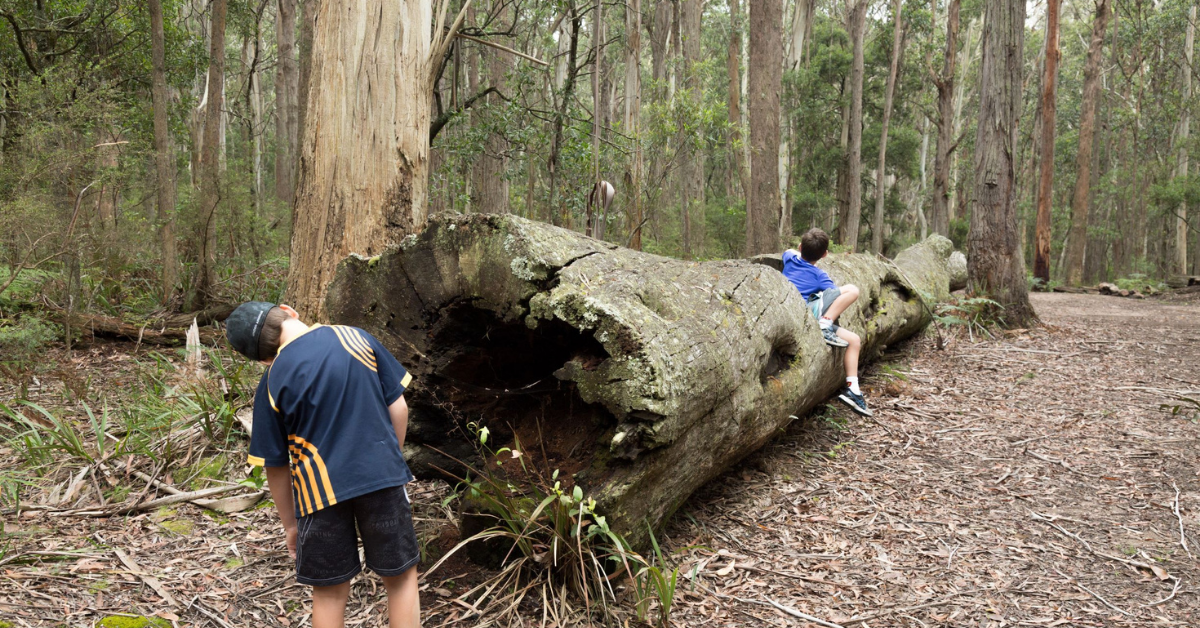 Tallaganda National Park