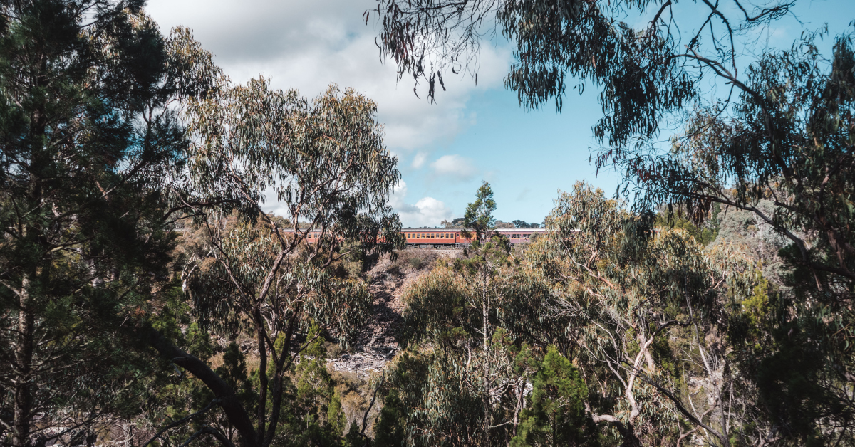 Molonglo Gorge