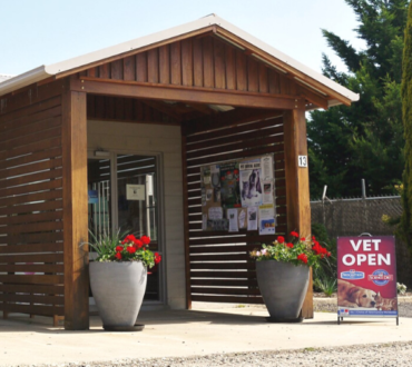 Braidwood Vet Surgery