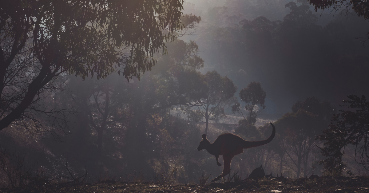 Deua National Park