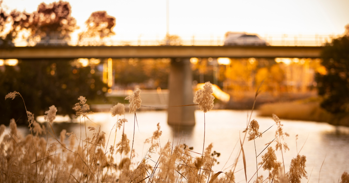 Queanbeyan Riverside