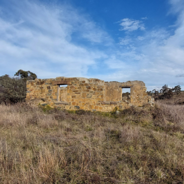 Colliers Homestead Ruins