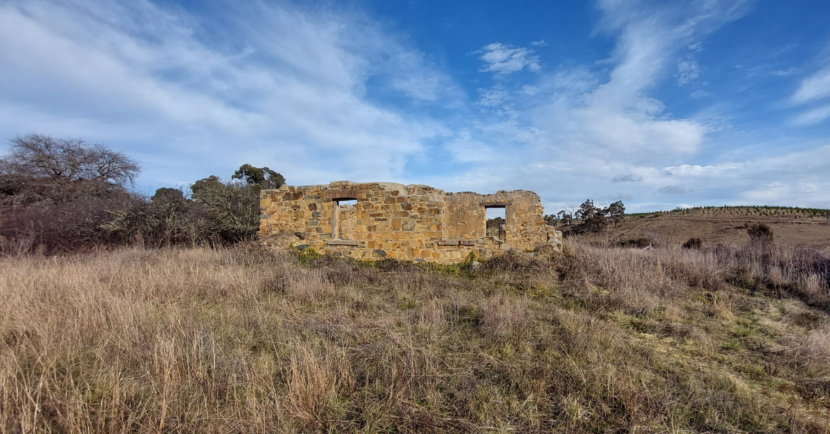Colliers Homestead Ruins