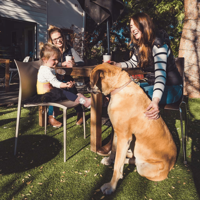 Adults, child and a dog at seated at a cafe in Queanbeyan.