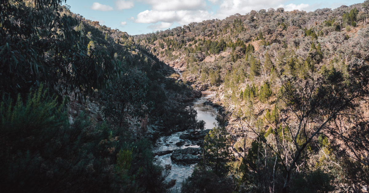 Molonglo Gorge