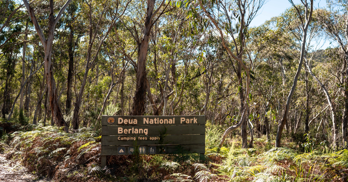 Berlang campground, Deua National Park