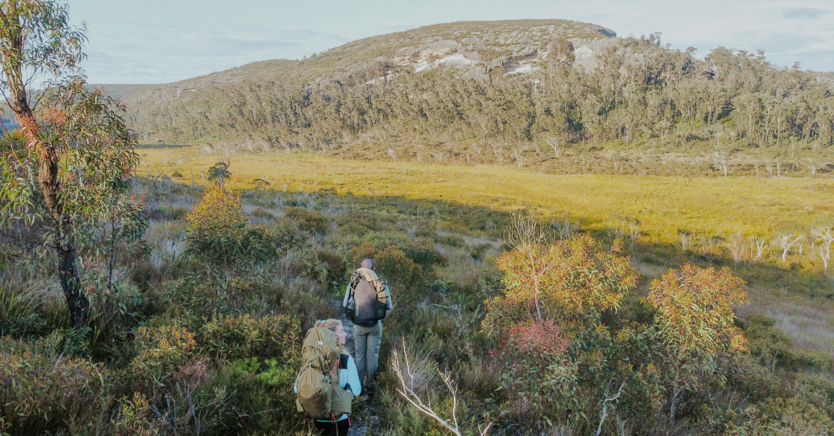 Mt Budawang hike 