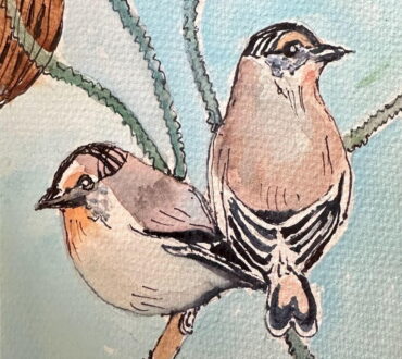 TGibson Watercolour 2026