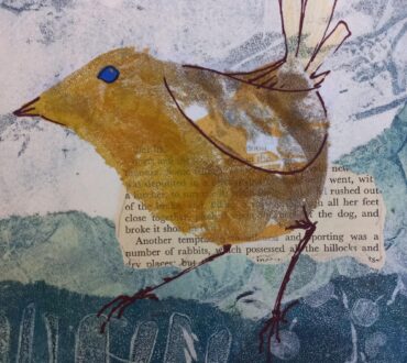 C Dimmer Another Temptation bird