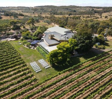 Beautiful outdoors and vines
