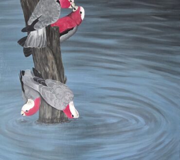 Birds of Play - katrina schulz