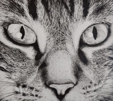Predator gaze, Jonathan White