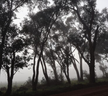 A Winters Morning