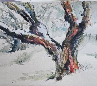 IMG_7618 snowgum Susie crick