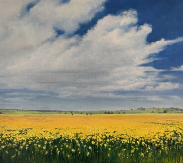 Lachlan Valley Canola Catherine Ann