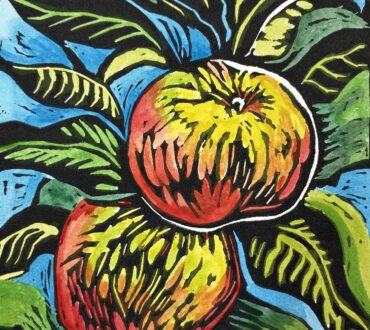 Rebekah Rice Hamilton - Braidwood Apples - Copy